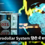 Petrodollar System in Hindi